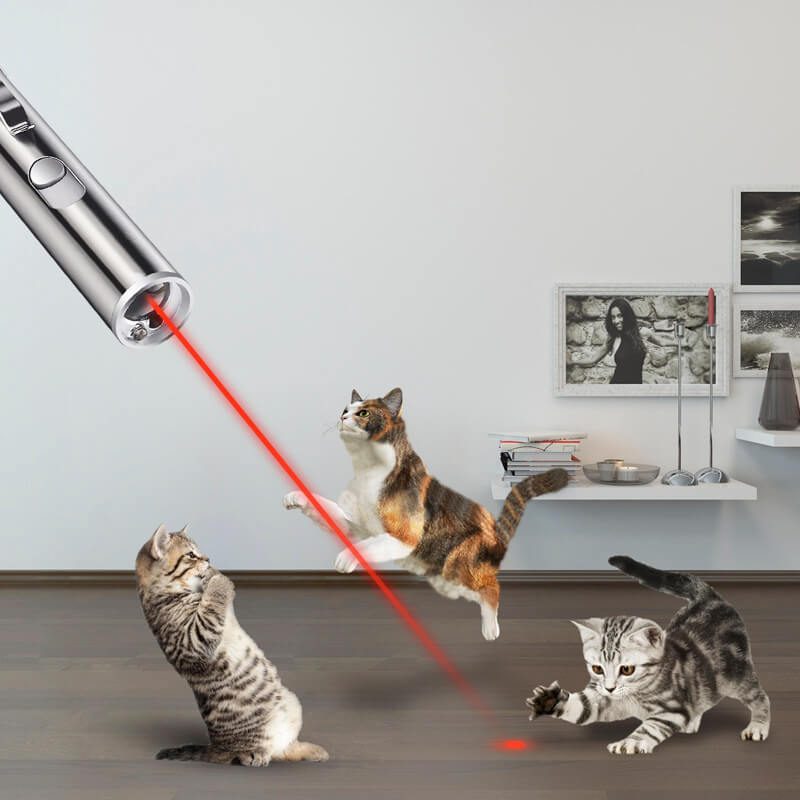 Đèn laser cho mèo