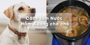 Read more about the article Cách làm Nước Hầm Xương cho chó | Công thức