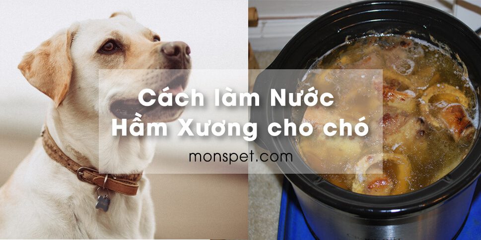 You are currently viewing Cách làm Nước Hầm Xương cho chó | Công thức