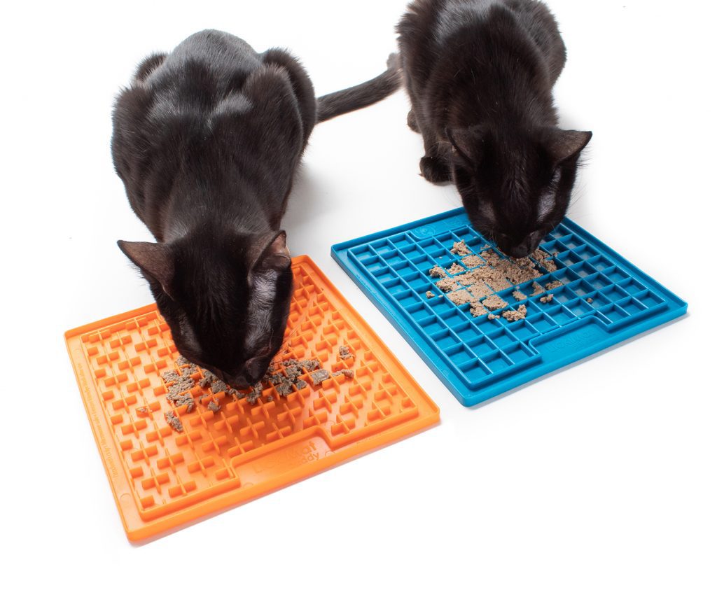 Loại puzzle feeders mèo dùng lưỡi để lấy thức ăn