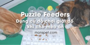 Read more about the article Puzzle Feeders – Dụng cụ đồ chơi giải đố khi cho mèo ăn