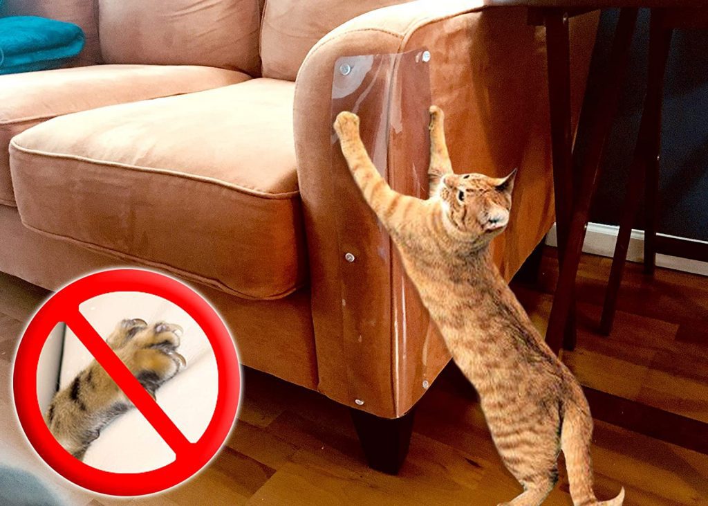 Cách ngăn mèo cào móng | Làm thế nào để ngăn chặn thói quen xấu của Chó Mèo?